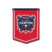 OLE MISS CWS CHAMPIONS LOGO 18X24 BANNER